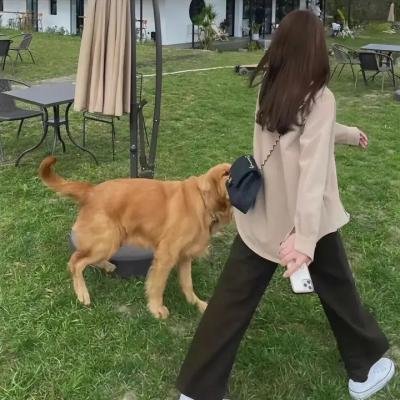 准备好拍摄